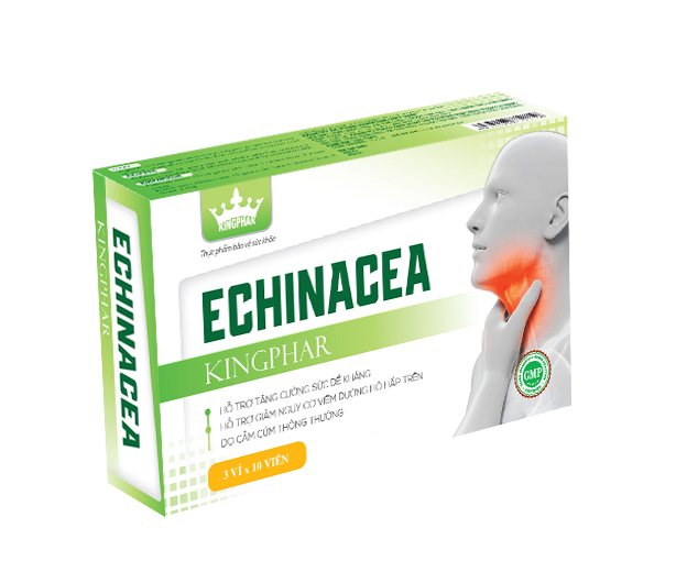 TPBVSK Giảm ho cảm cúm echinacea kingphar (h/30v)